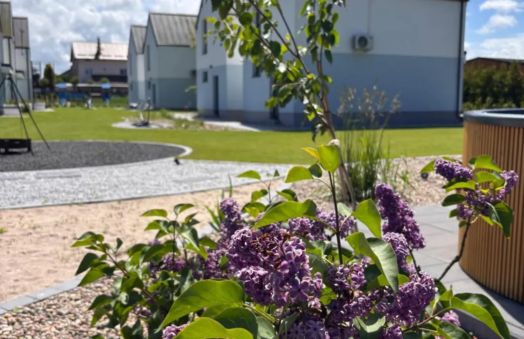 Siedlisko na wydmach, sauna,domki klimatyzowane,starlink internet,parking-1